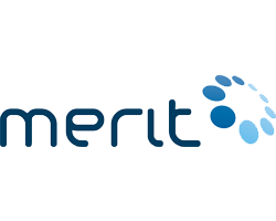 Logo Mertit